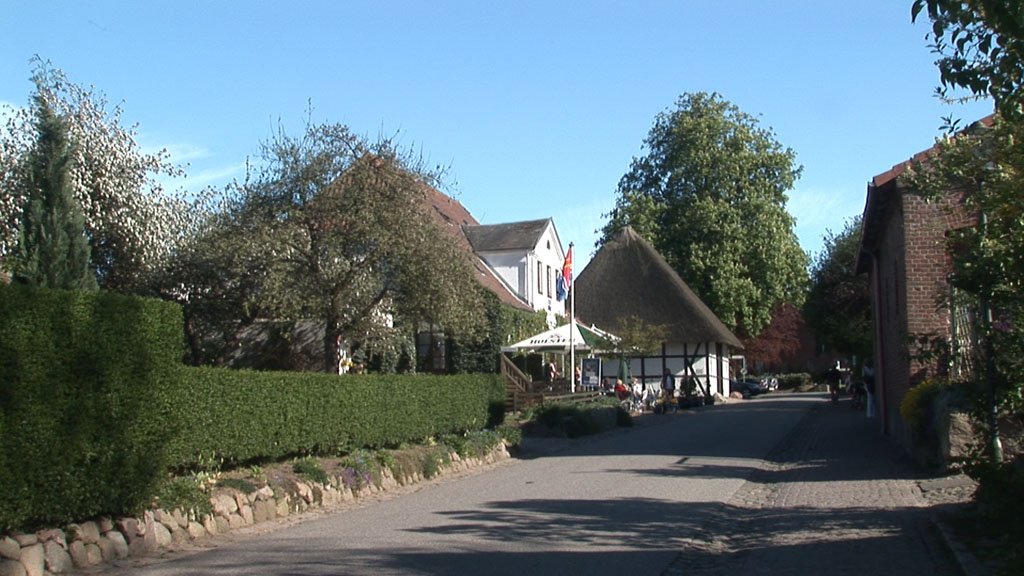 Schlei-Impressionen
