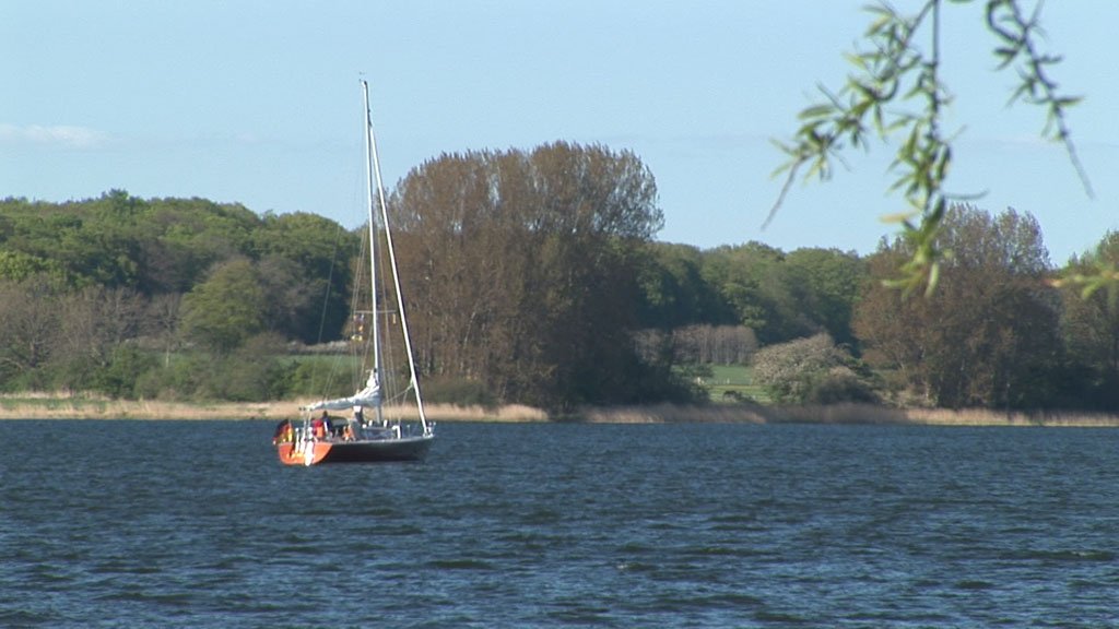 Schlei-Impressionen