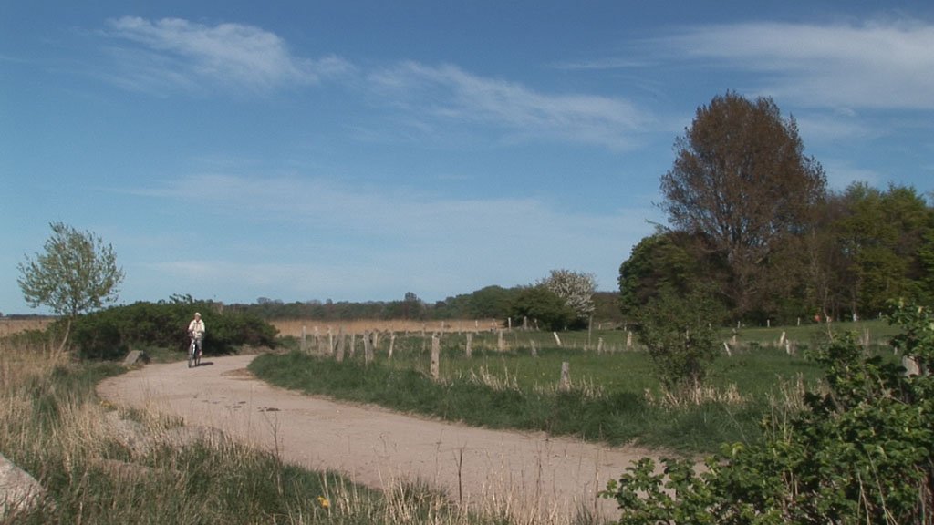 Schlei-Impressionen