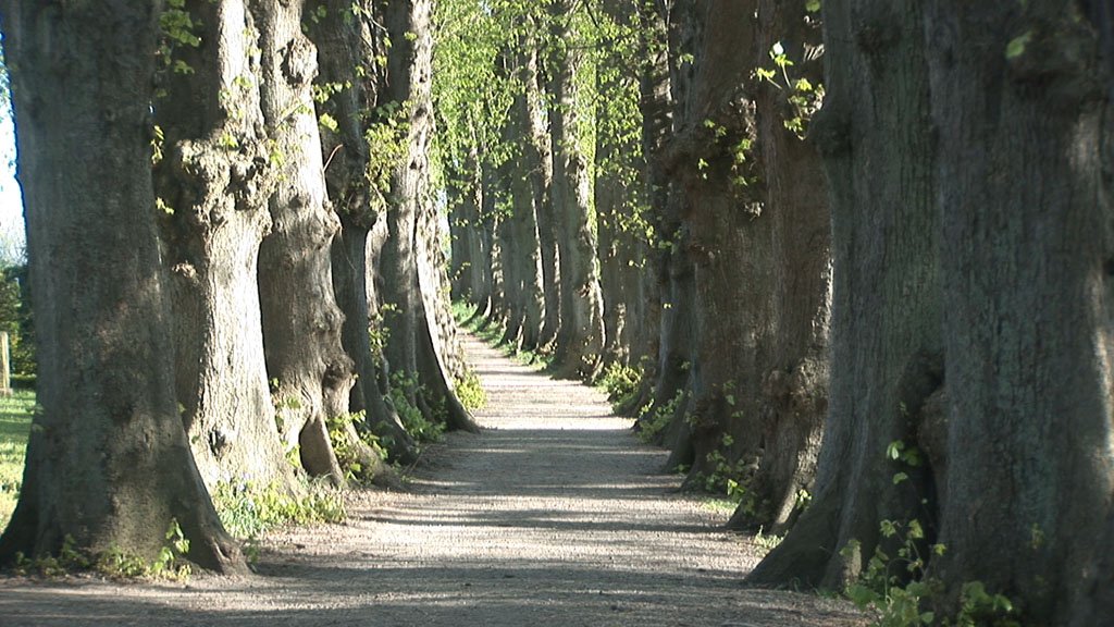 Schlei-Impressionen