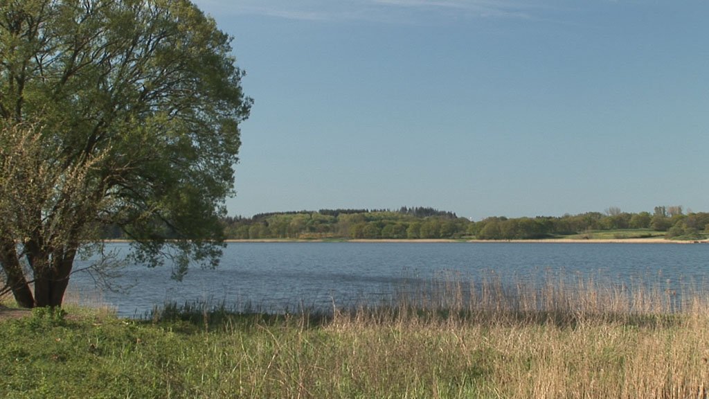 Schlei-Impressionen