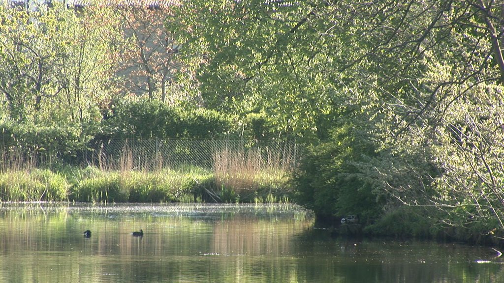Schlei-Impressionen