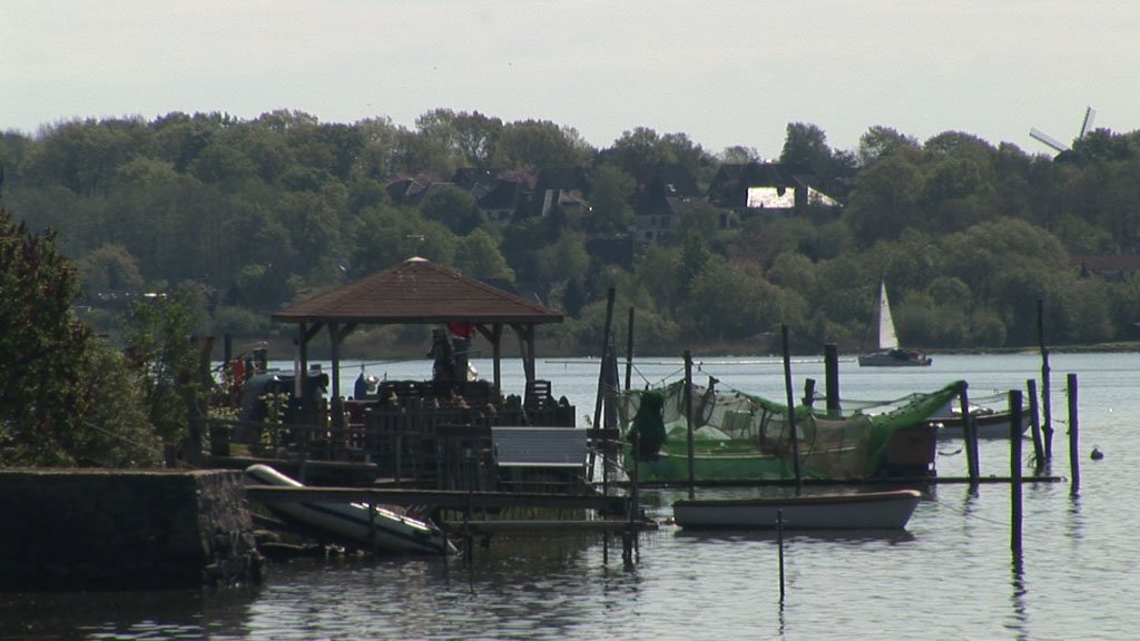 Schlei-Impressionen