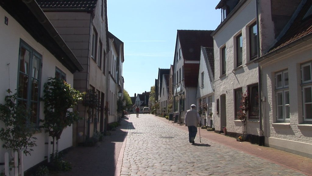 Schlei-Impressionen