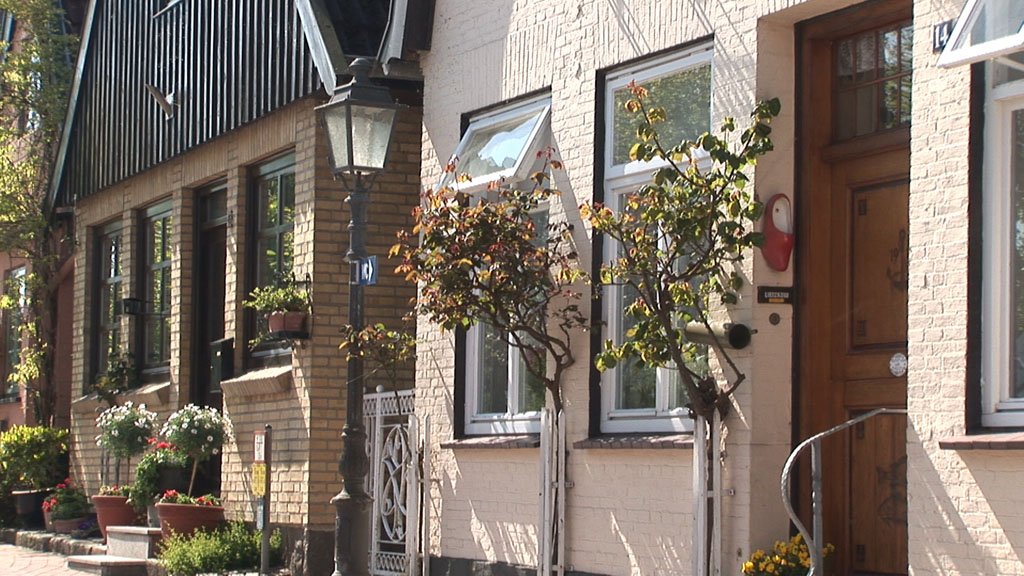 Schlei-Impressionen