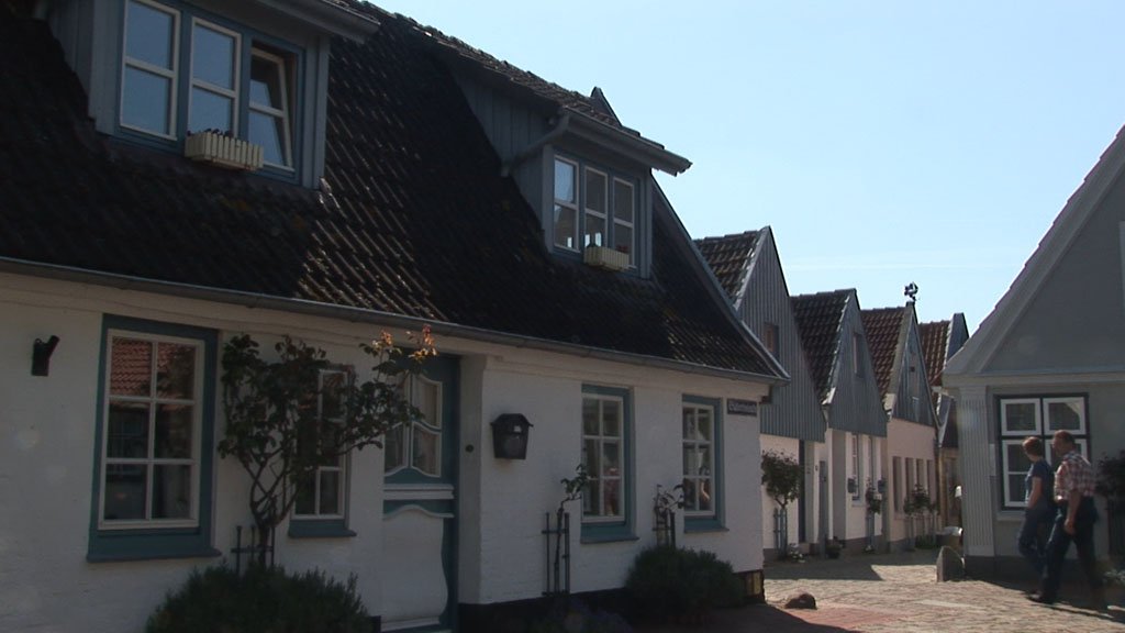 Schlei-Impressionen