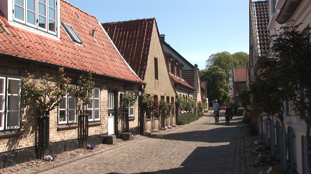 Schlei-Impressionen