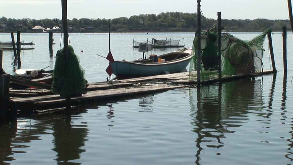 Schlei-Impressionen