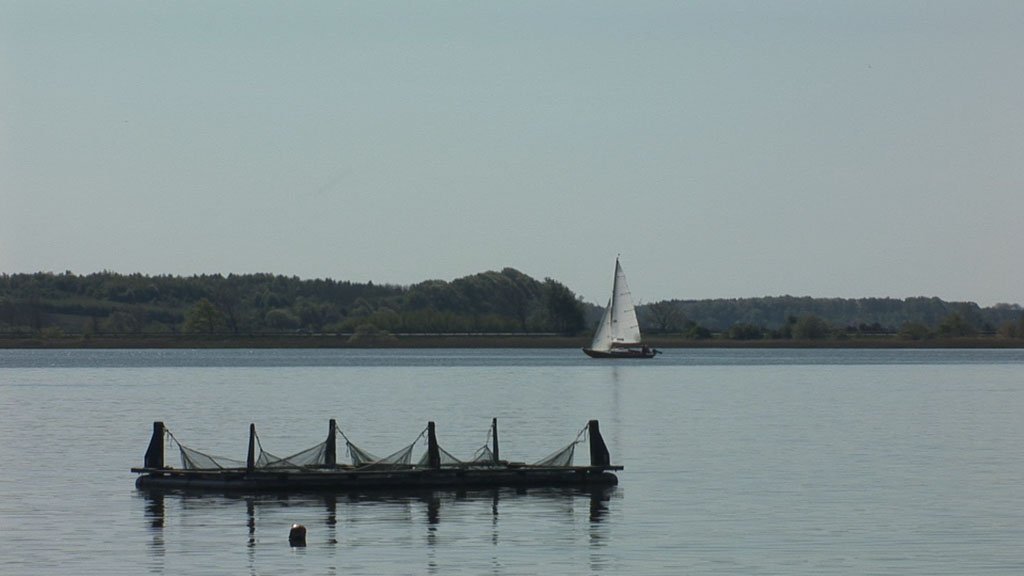 Schlei-Impressionen