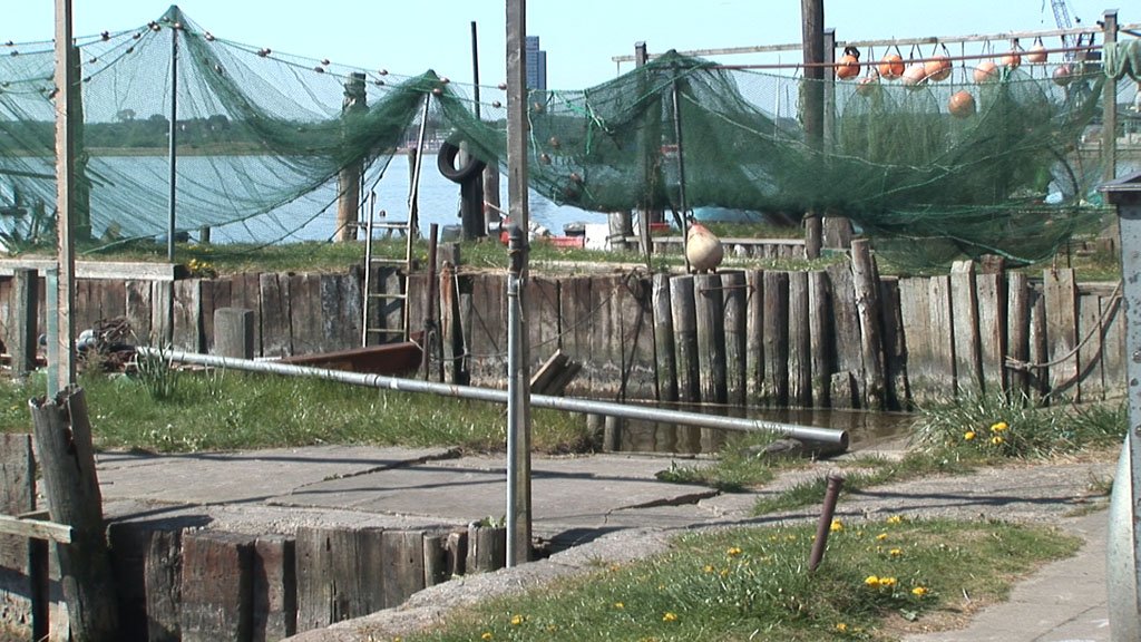 Schlei-Impressionen