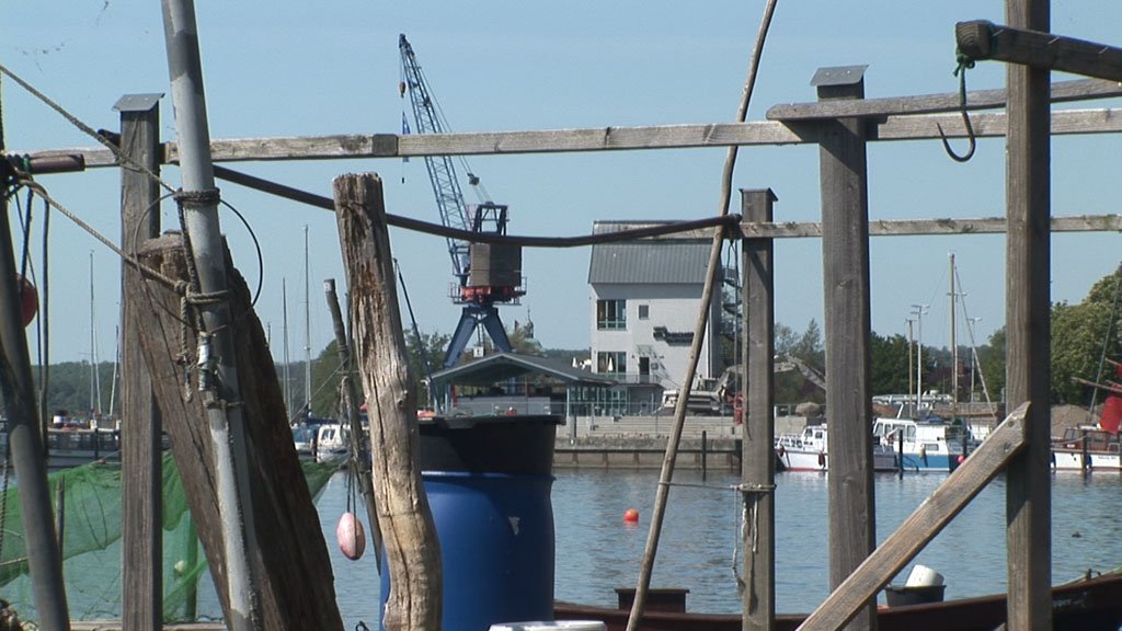 Schlei-Impressionen