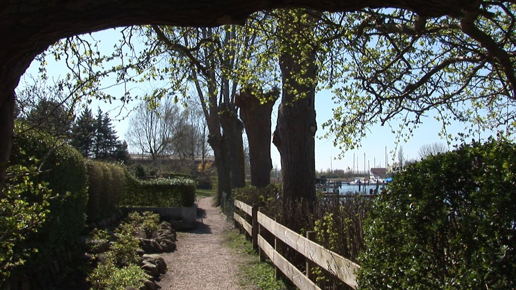 Schlei-Impressionen