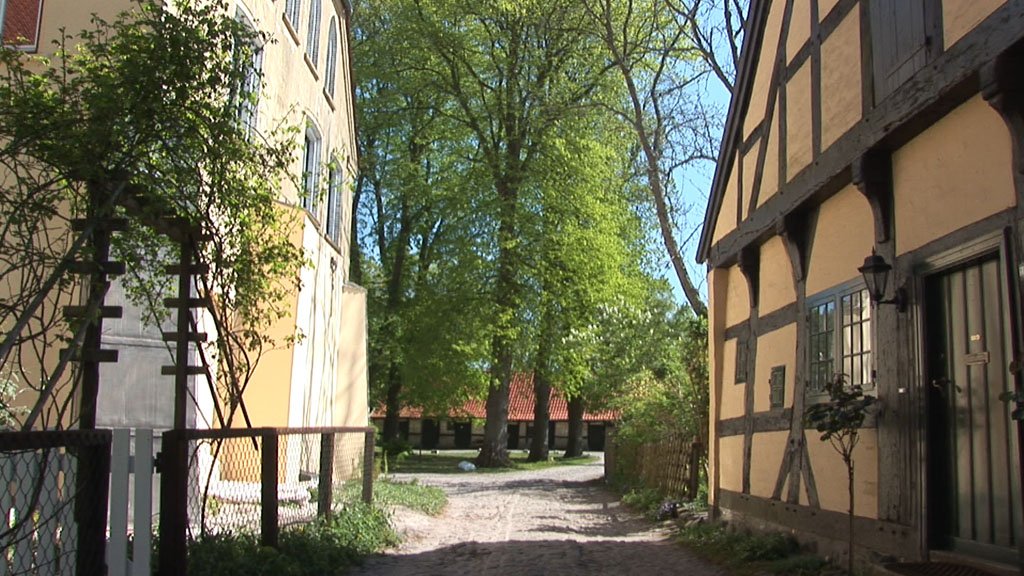 Schlei-Impressionen