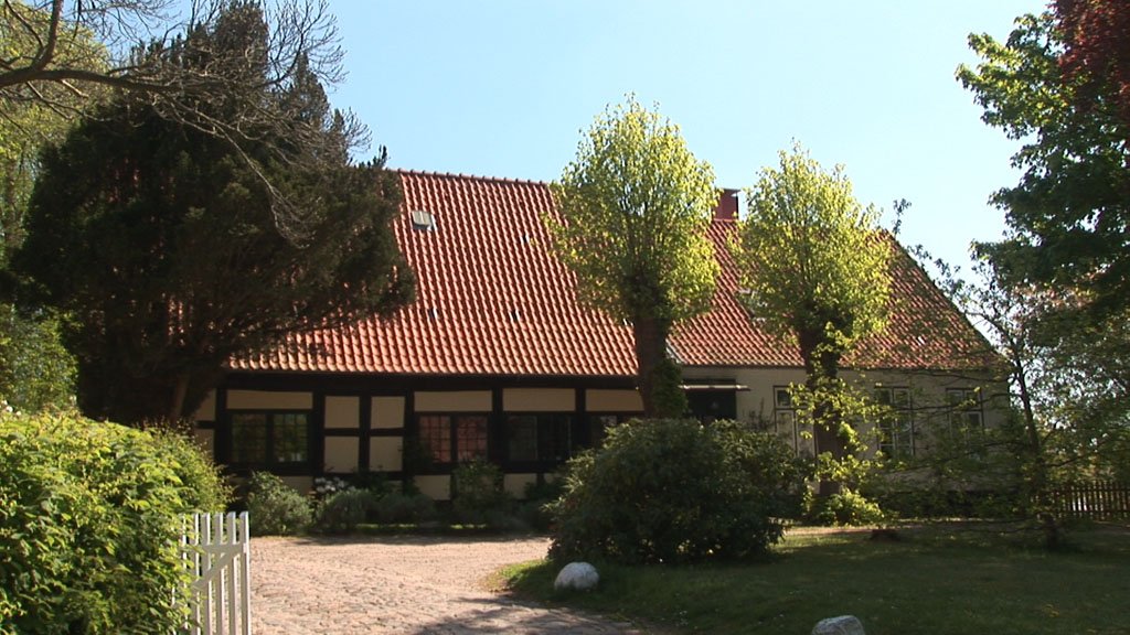 Schlei-Impressionen