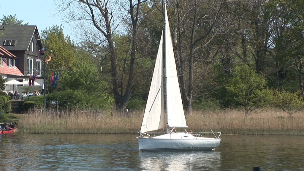 Schlei-Impressionen