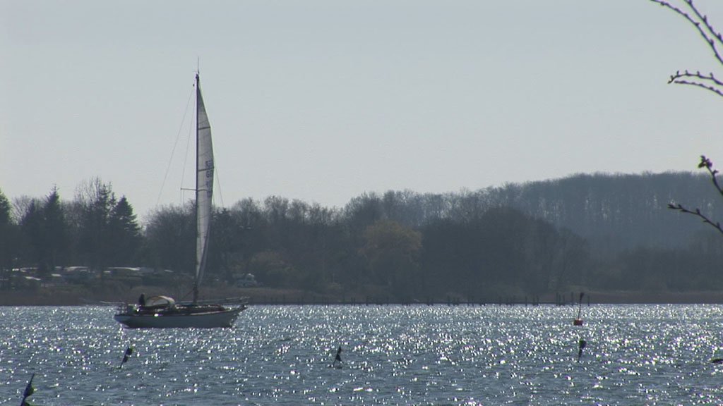 Schlei-Impressionen