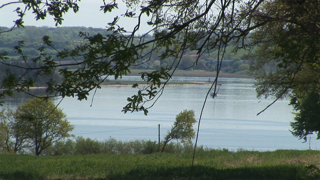 Schlei-Impressionen