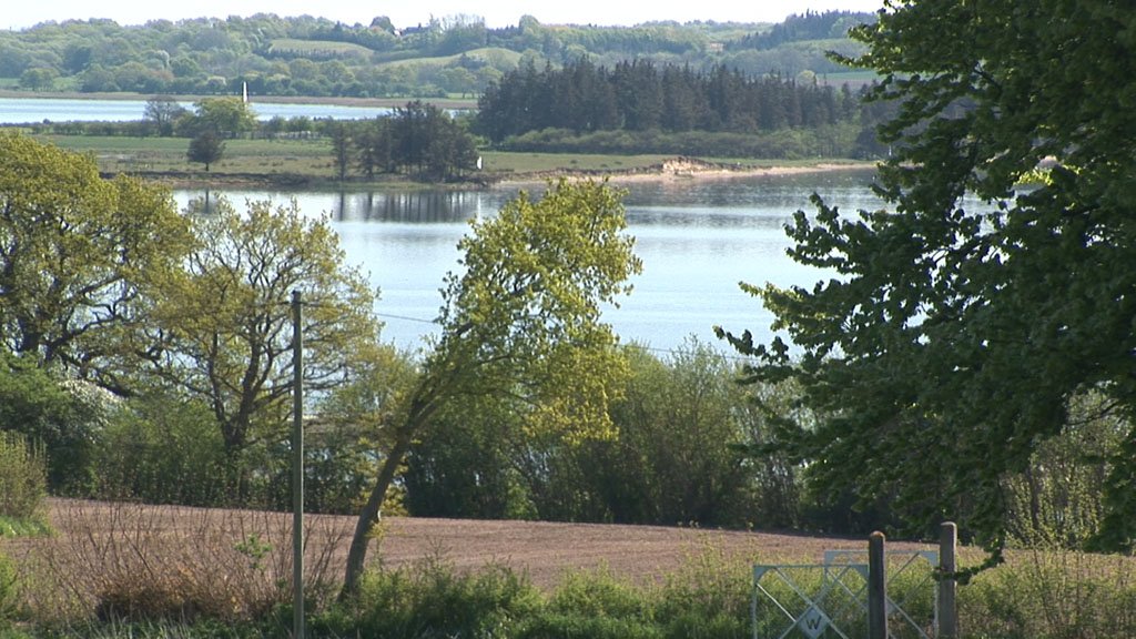 Schlei-Impressionen