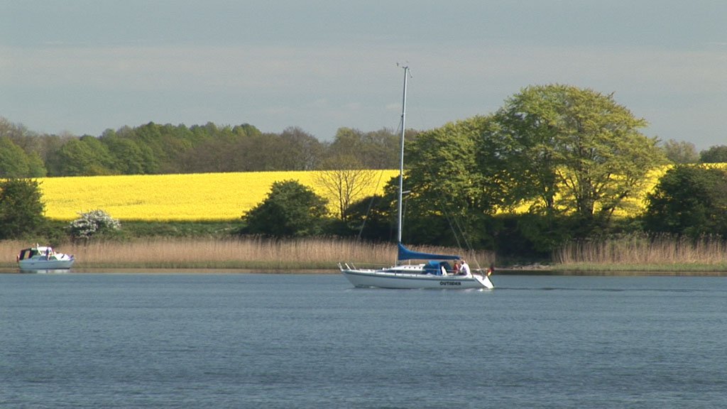 Schlei-Impressionen