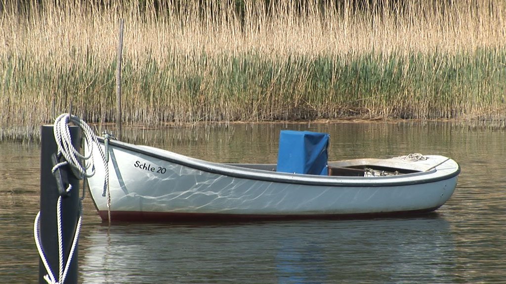 Schlei-Impressionen