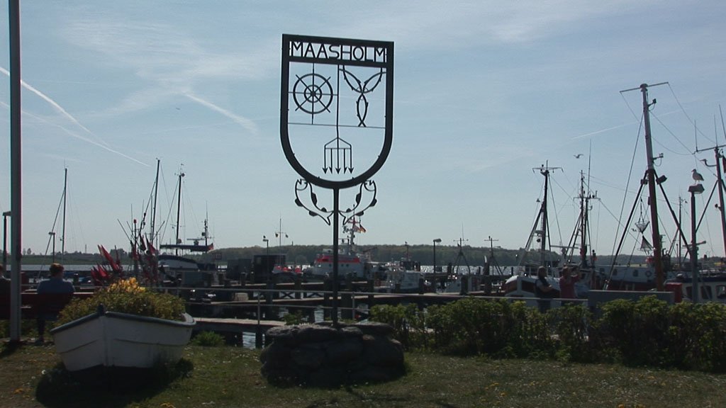 Schlei-Impressionen