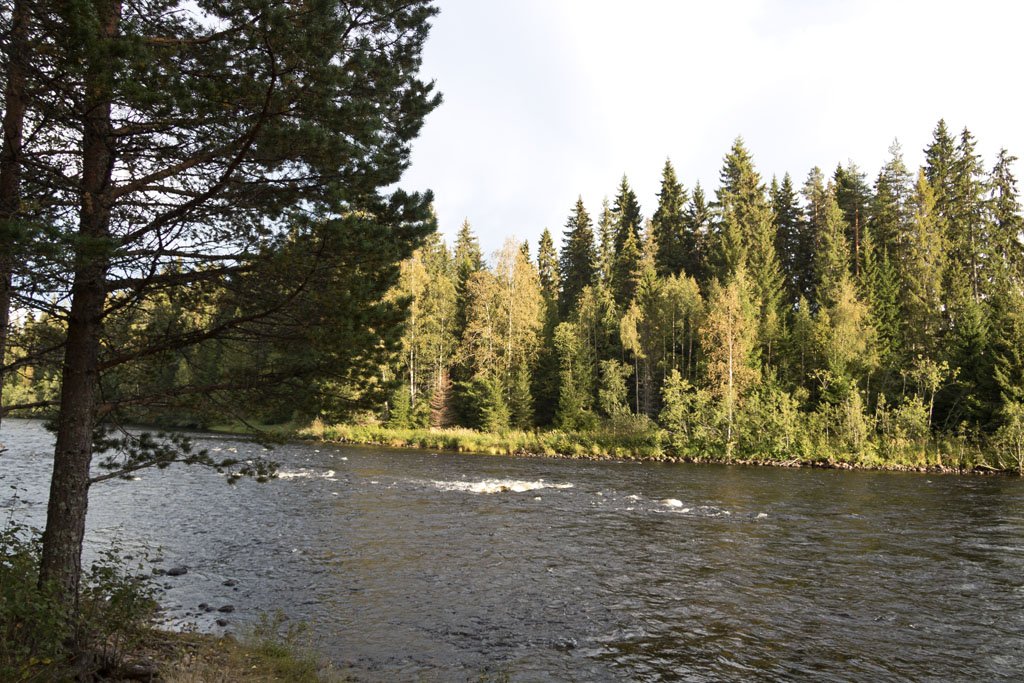 Schweden 2016