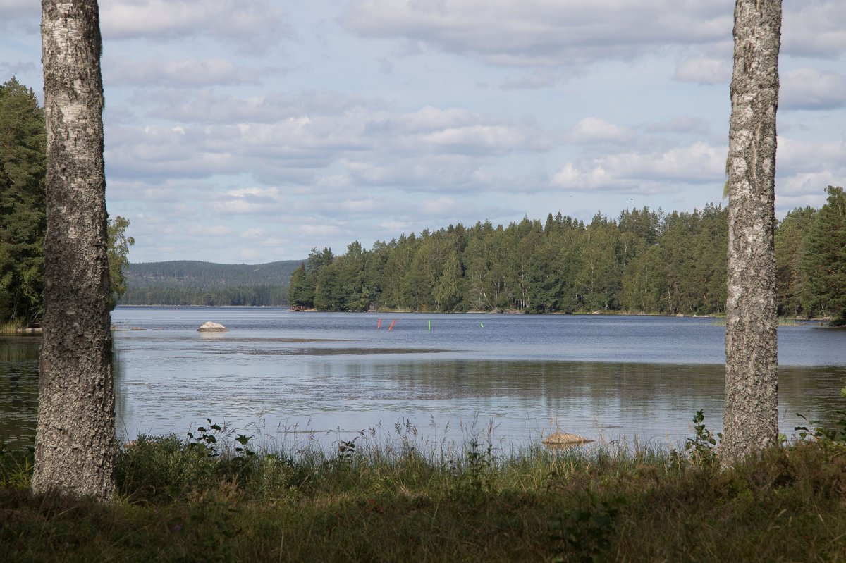 Schweden 2022