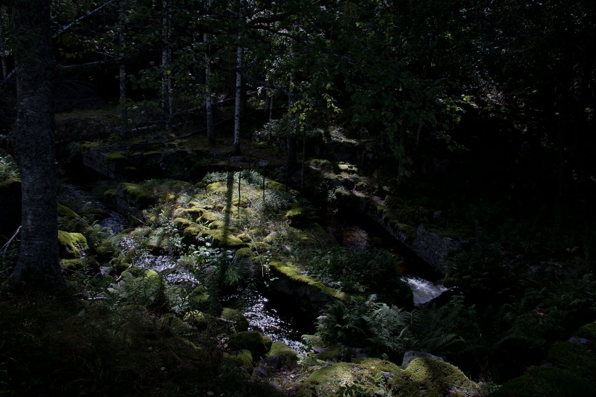 Schweden 2022