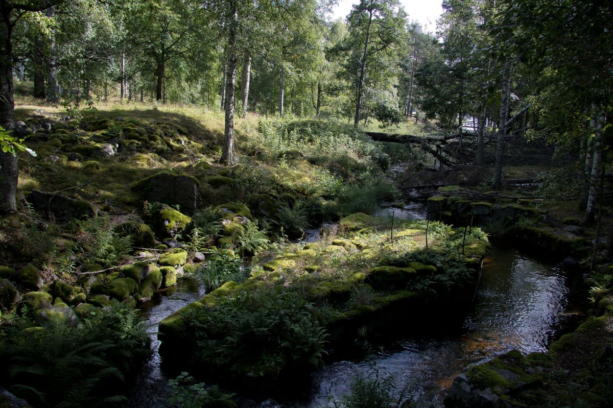 Schweden 2022