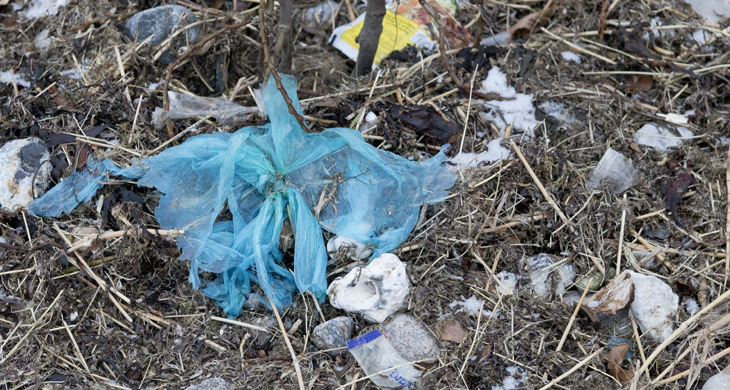 Dreck und Plastikmüll am Weißenhäuser Strand