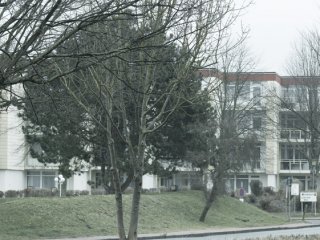 Weißenhäuser Strand (Make Tristesse great again!)