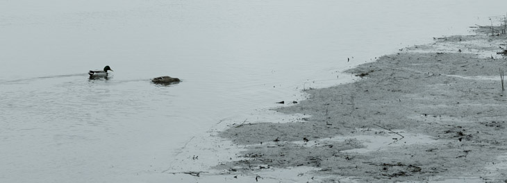 Weißenhäuser Strand