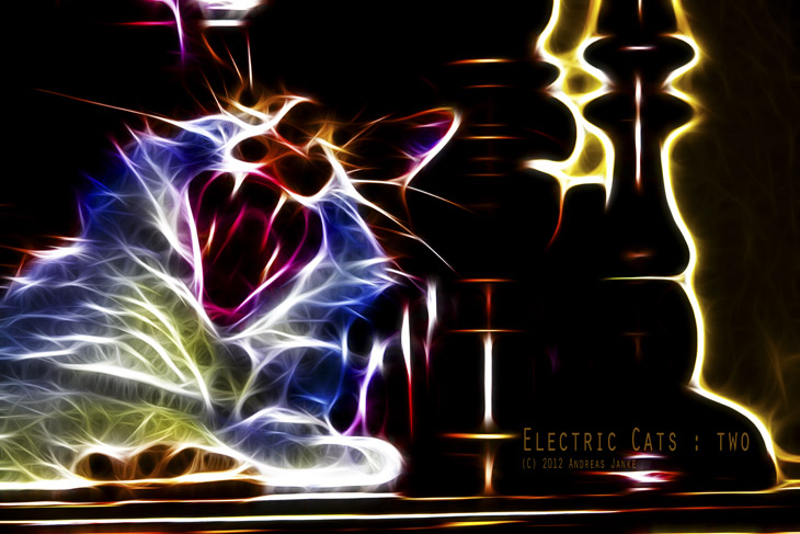 Serie "Electric Cats"