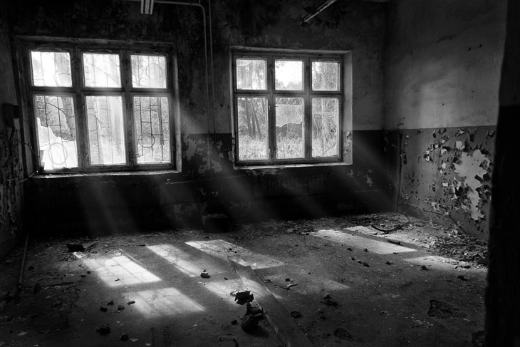 Im Sonnenlicht