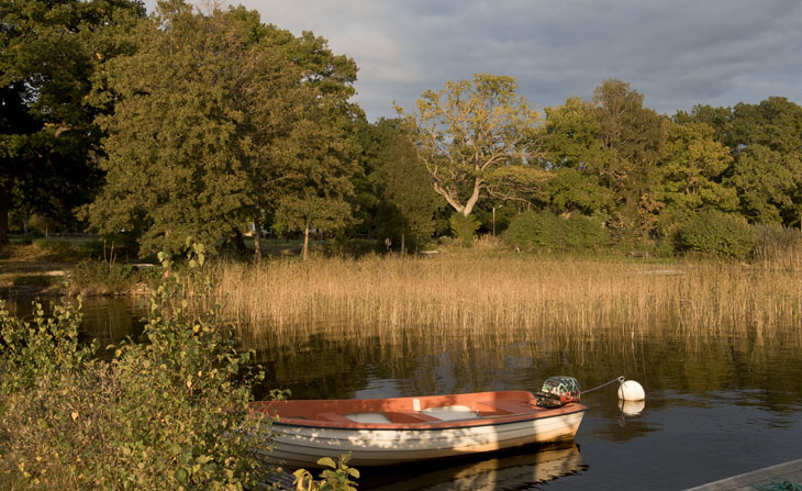 Parklandschaft am Ufer des Sees