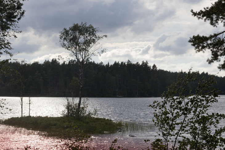 Lichtstimmung an einem See bei Lennartsfors